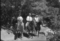 On Vernal Fall Trail