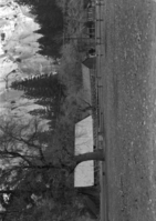 YOSE RL_01716