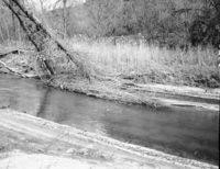 The largest of three beaver food caches near base of Great White Throne.