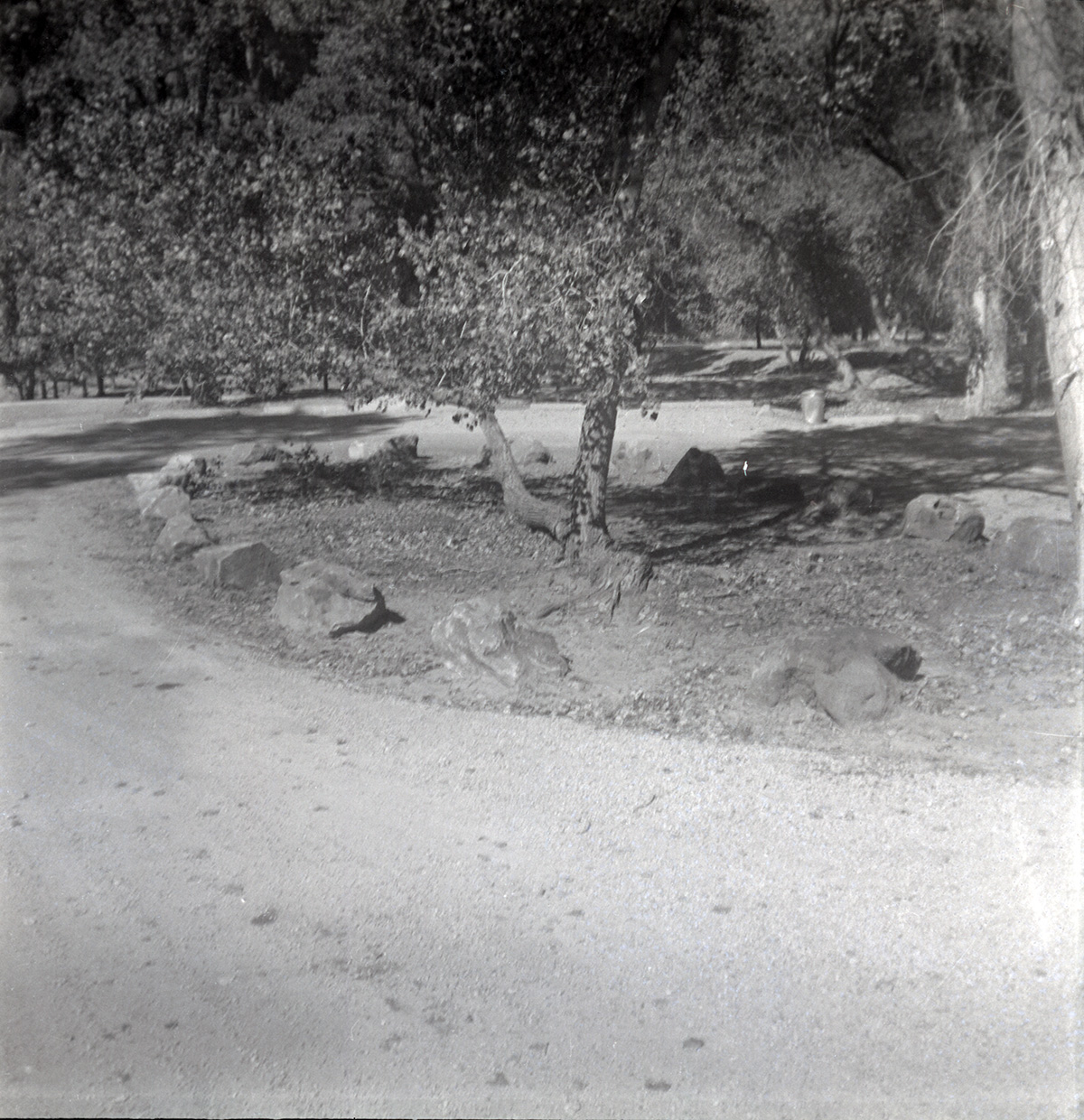 Road and display in center of roundabout along the scenic canyon drive near the Grotto.