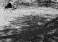 Cleared dirt area in South Campground.