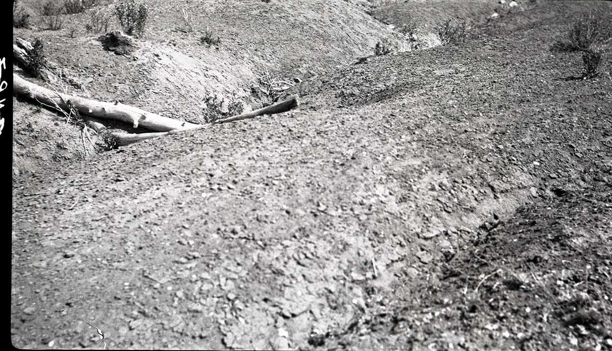 Small log check dams.