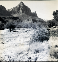 Clearing of right-of-way for new Highway 1, from South Entrance to Virgin River Bridge. The Watchman in the distance (view south).