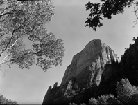 Great White Throne from Weeping Rock junction.