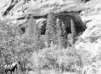 Big Cave in La Verkin Creek canyon, with horse in foreground.