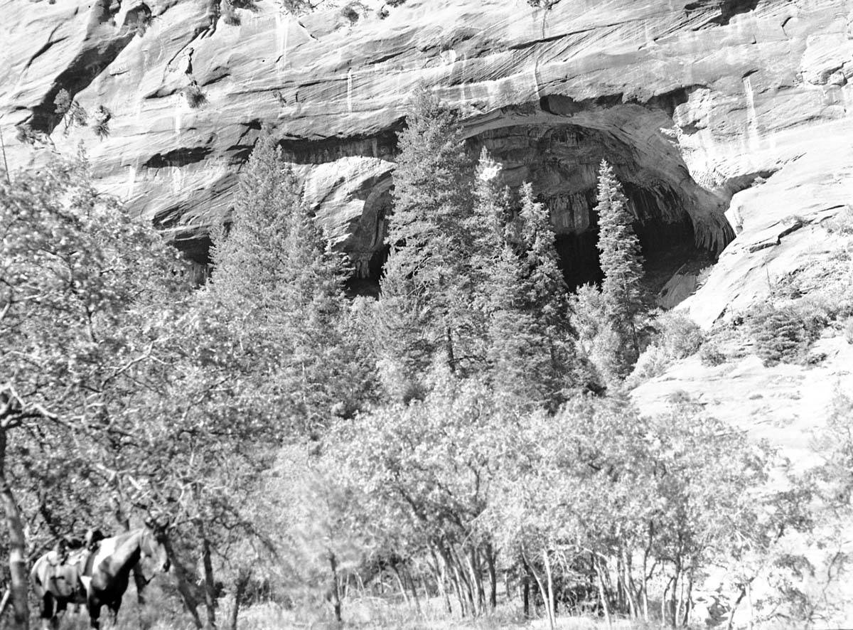 Big Cave in La Verkin Creek canyon, with horse in foreground.