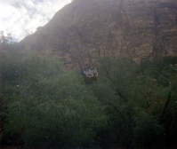 The Temple of Sinawava spring project - scaffolding construction and use.