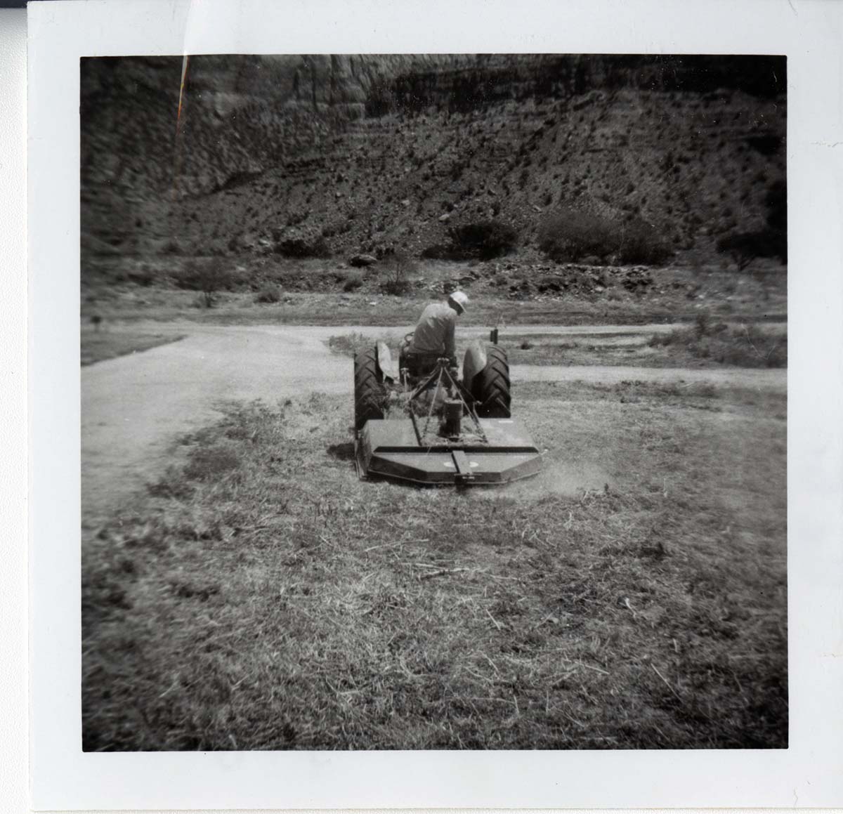 Park employee mowing on the tractor.