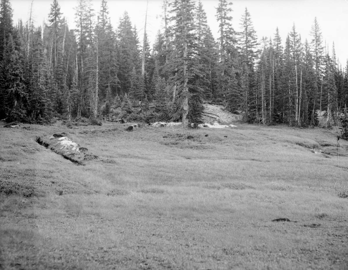 Meadow selected for water exploration, prior to commencement of excavation work.