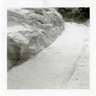 General view of the East Rim trail.