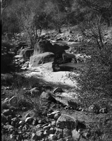 Area of proposed diversion dam on the east side, Virgin River.