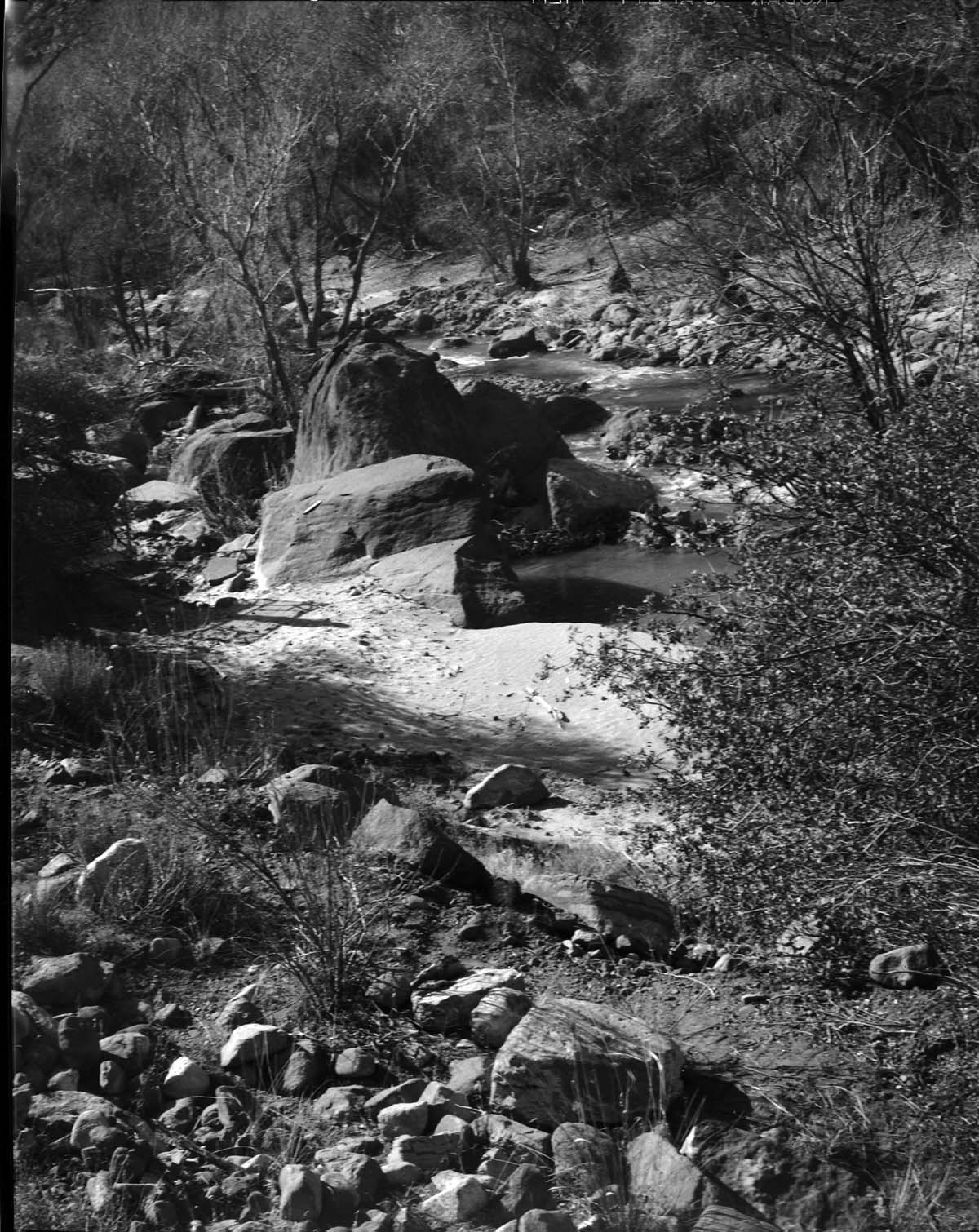 Area of proposed diversion dam on the east side, Virgin River.