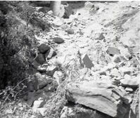 Rubble pile at base of canyon wall after rock slide. Birch Creek.