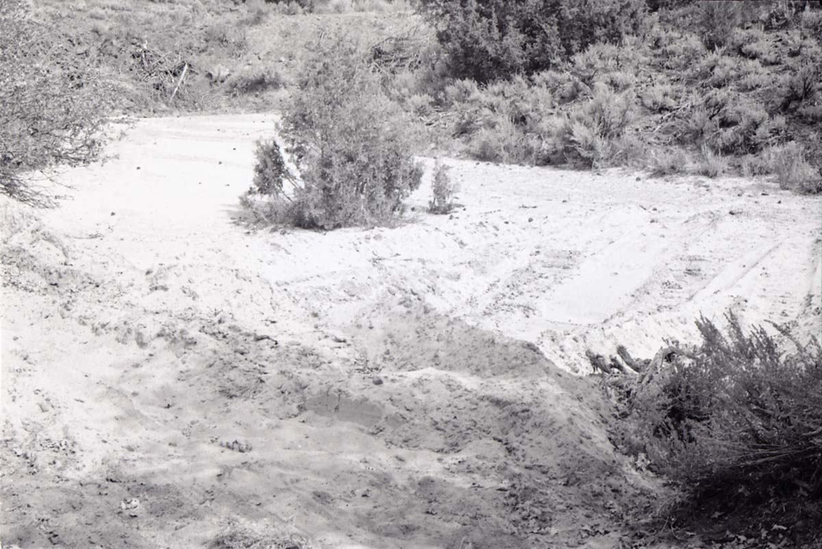 BW photo of the 1937 grazing study 35MM.