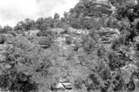 BW photo of the 1937 grazing study 35MM.