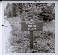 Road sign reading 'Service Road Only' in Kolob Canyon.