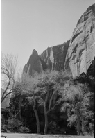 BW Photos of the Temple of Sinawava - 35mm.