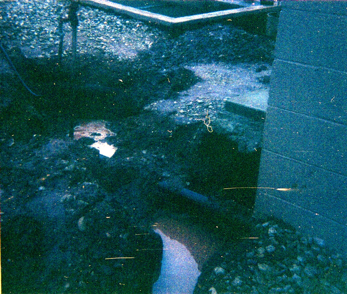 Sewer treatment plant.