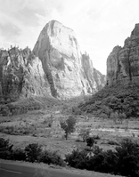 The Great White Throne from across the canyon floor, road in foreground.