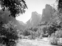 The Virgin River and the Court of the Patriarchs from the canyon floor.
