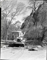 Crane being used in pruning cottonwoods in Grotto Campground.