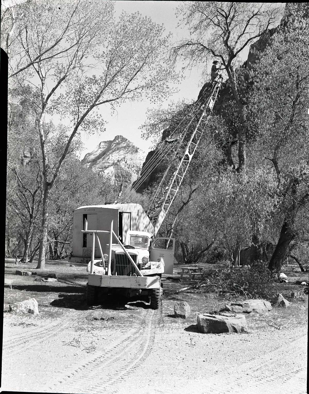 Crane being used in pruning cottonwoods in Grotto Campground.