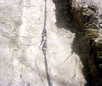 The Zion Lodge utilities project.