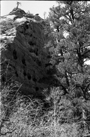 BW Photos of general interior views of Zion Canyon - 35mm.