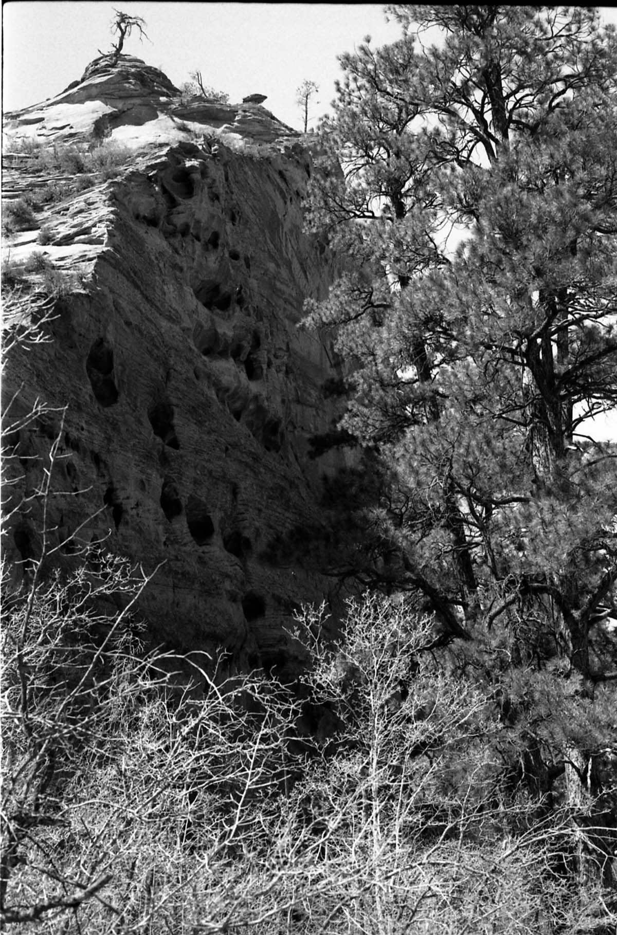 BW Photos of general interior views of Zion Canyon - 35mm.