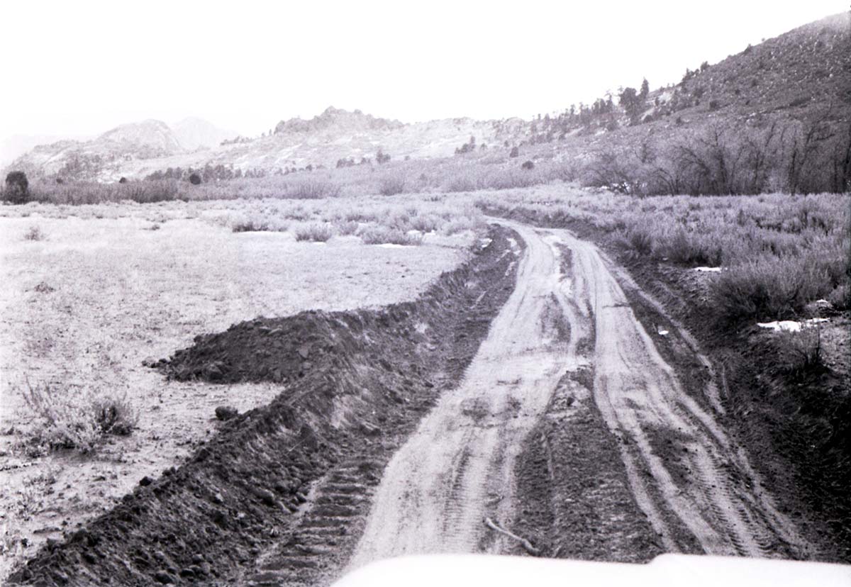 BW photo of the 1937 grazing study 35MM. Graded road in Lee Valley.