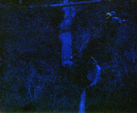 The construction of the Wiley Spring water vault.