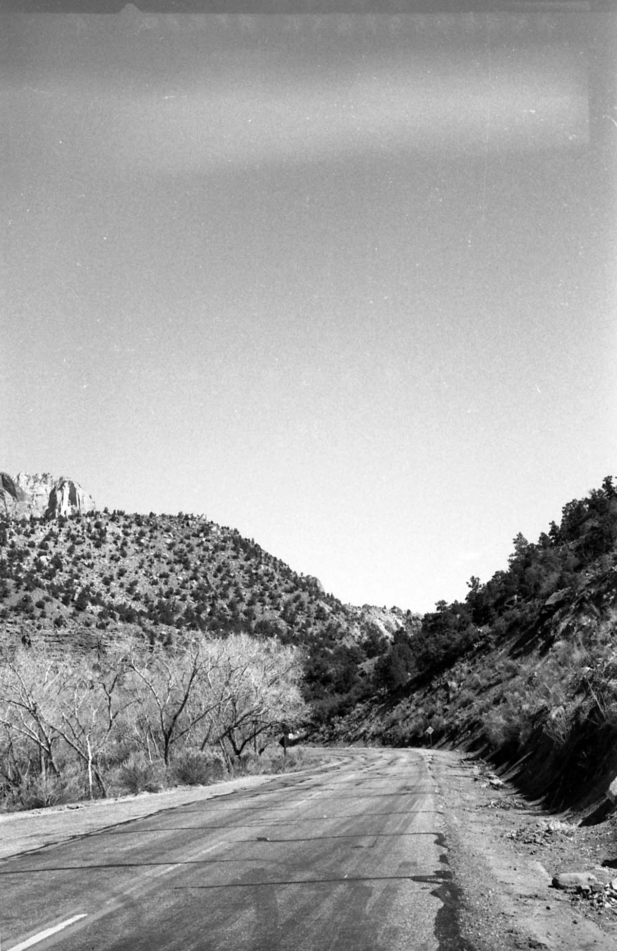 BW Photos of Zion Canyon. 35mm.