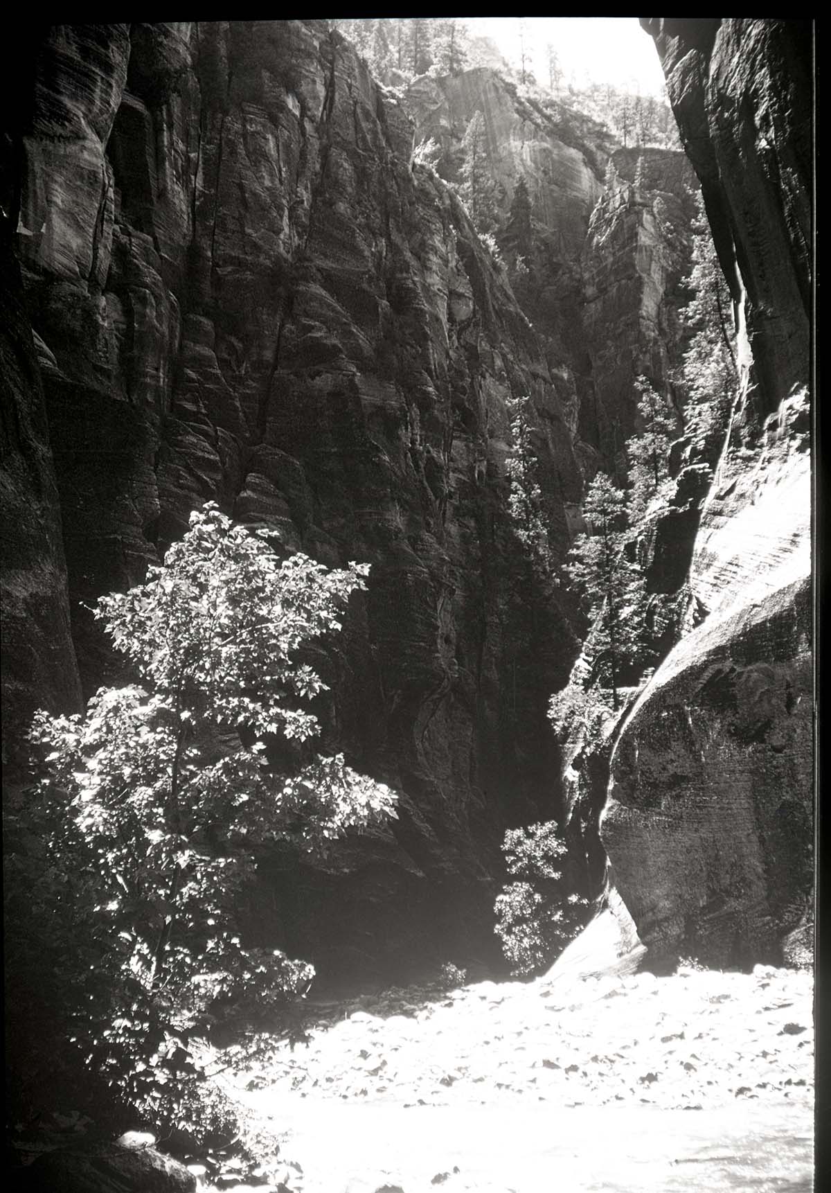 Zion Narrows.