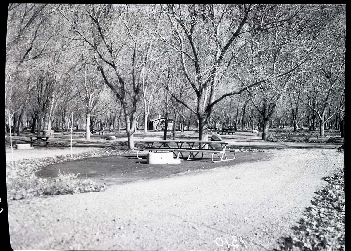 Campsite in new South Campground showing shop-made table and cinder concrete fireplace.