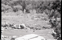 BW photo of the 1937 grazing study 35MM.