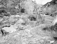 Area of proposed diversion dam on the east side, Virgin River.
