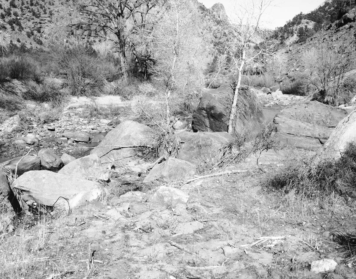 Area of proposed diversion dam on the east side, Virgin River.