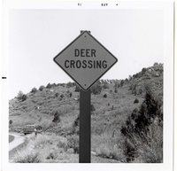 Road sign reading 'Deer Crossing' in Kolob Canyon.