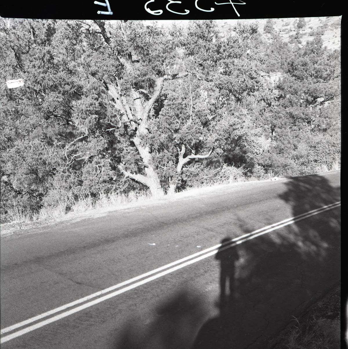 Site of motorcycle accident above small tunnel.