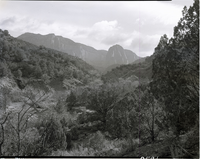 Middle Fork of Taylor Creek - for proposed road construction. [Kolob Canyon]