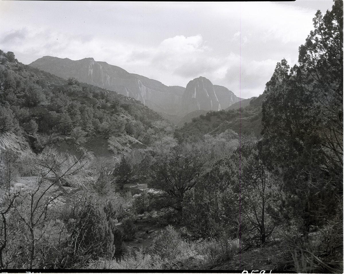 Middle Fork of Taylor Creek - for proposed road construction. [Kolob Canyon]