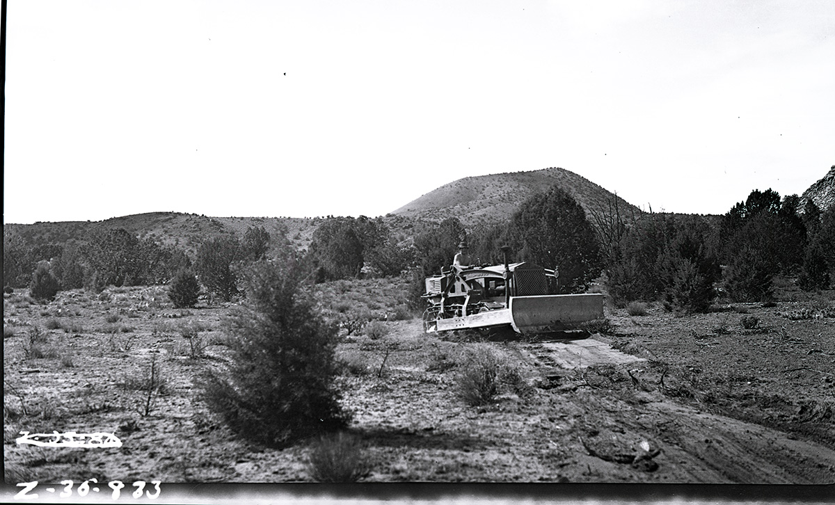 Truck trail construction, petrified forest area and west boundary. [Chinle Trail]