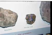 Color Photos of the old visitor center exhibits.