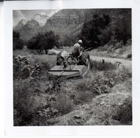 Park employee mowing on the tractor.