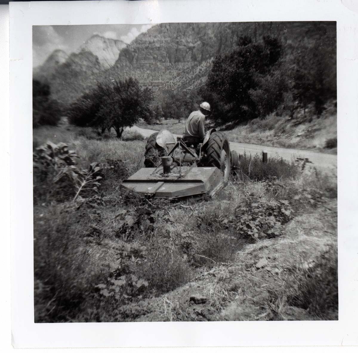Park employee mowing on the tractor.