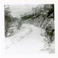 General view of the East Rim trail.