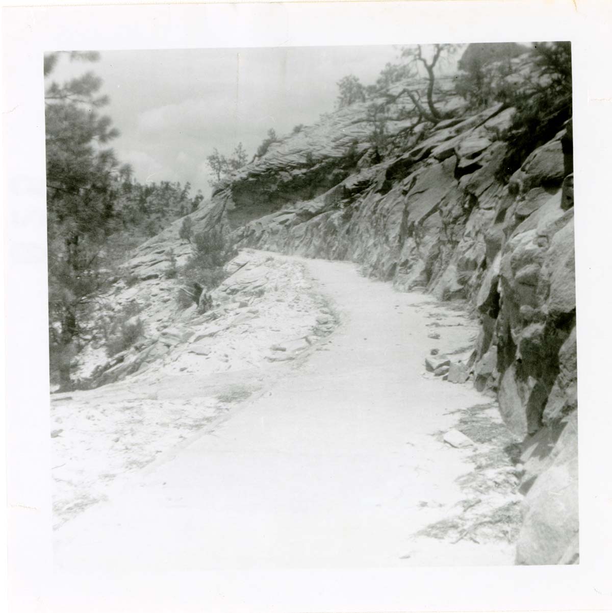 General view of the East Rim trail.