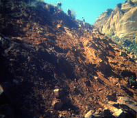 Color Photo of the Sentinel rock slide.