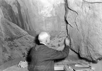 Western Museum Laboratory (WML) worker painting the background of the Zion Museum's cactus diorama exhibit.