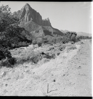 Location of right of way for the new road from a point just north of the visitor center. Looking south. Work of removing top soil just started.
